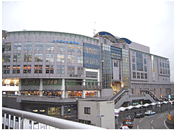 ���������̎ʐ^