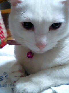 �݂݂��i�h�E�A�b�v�j