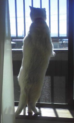 �݂݂��i�������I�E�Q�j