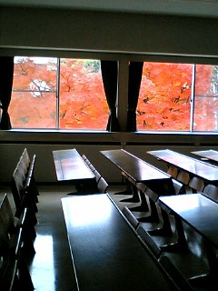 �����ƍg�t