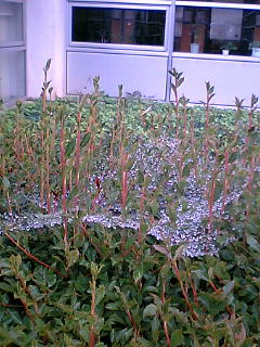 �����̑��Ƃ�����