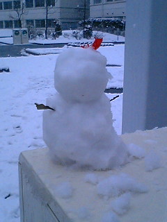 ���N�̐�̓��ɂ������䂫�����