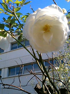 �����o��